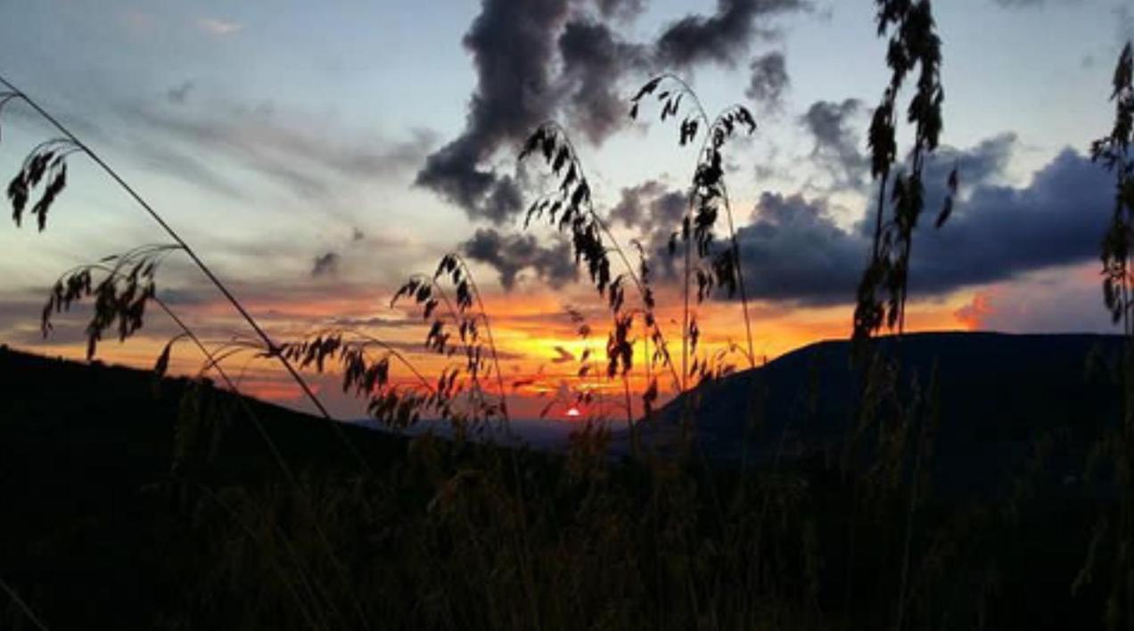 In Sicilia Da Ciro Bed & Breakfast Vita Luaran gambar