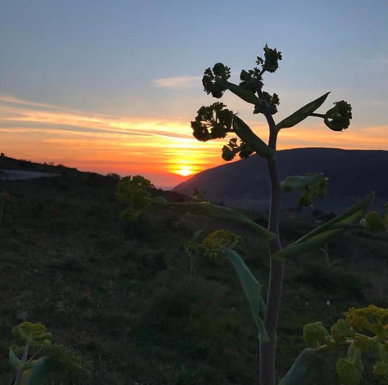 In Sicilia Da Ciro Bed & Breakfast Vita Luaran gambar